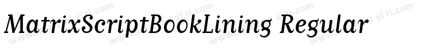 MatrixScriptBookLining Regular字体转换